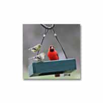 Petite Green Hanging Tray Feeder, available at The Audubon Shop, the best shop for bird watchers, Madison CT