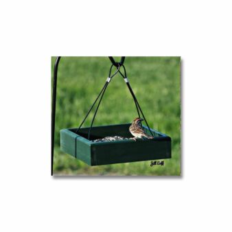 Petite Green Hanging Tray Feeder, available at The Audubon Shop, the best shop for bird watchers, Madison CT