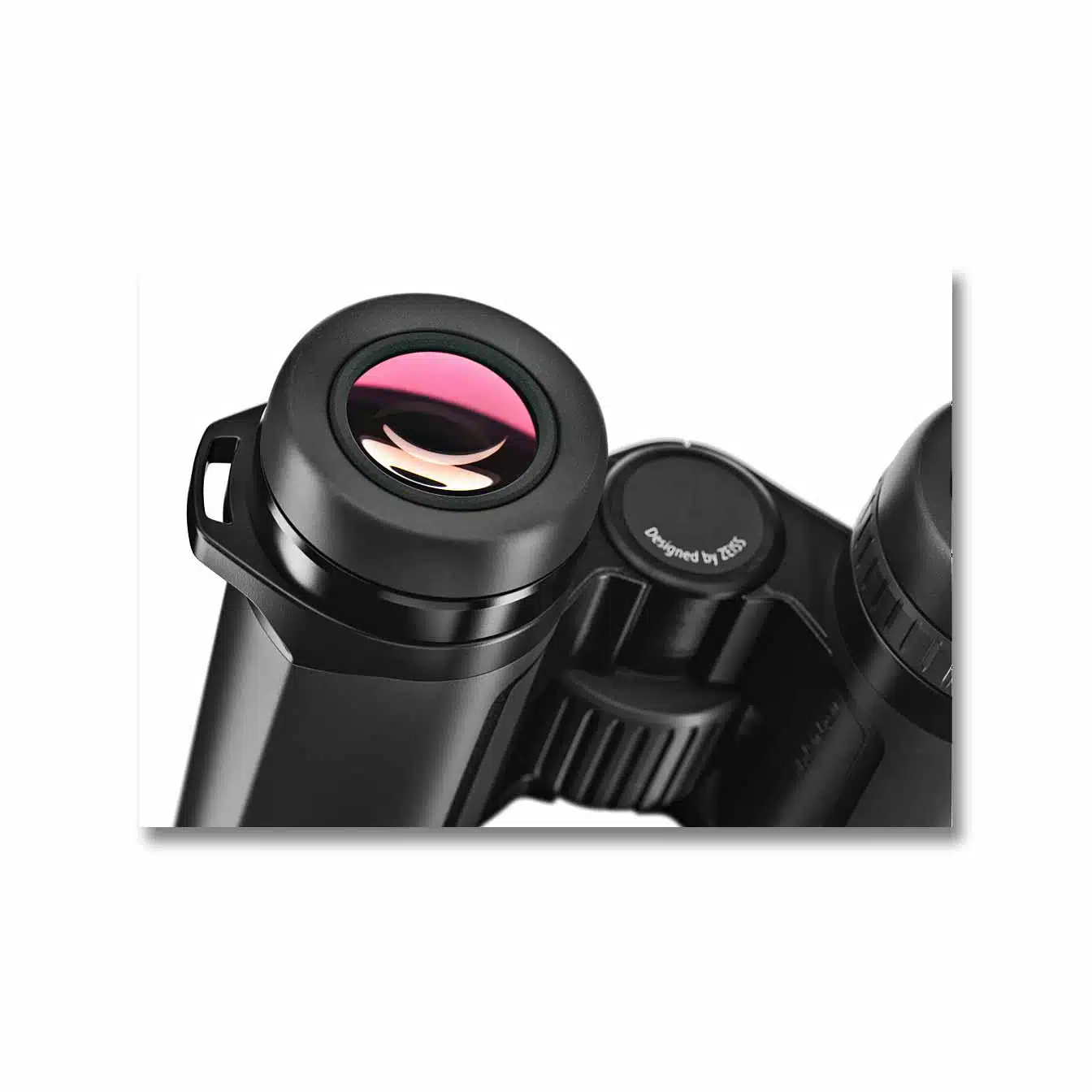 Zeiss SFL 8x30 Binoculars, available at The Audubon Shop, the best shop for bird watchers, Madison CT