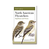 Field Guide to North American Flycatchers, available at The Audubon Shop, the best shop for bird watchers, Madison CT