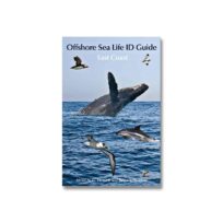 Offshore Sea Life ID Guide East Coast, available at The Audubon Shop, the best shop for bird watchers, Madison CT
