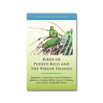 Birds of Puerto Rico and the Virgin Islands available at The Audubon Shop, the best shop for bird watchers, Madison CT