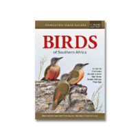 Birds of Southern Africa, available at The Audubon Shop, the best shop for bird watchers, Madison CT 