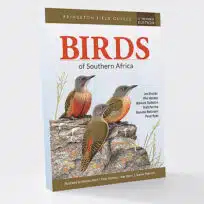 Travel Reading List, Africa