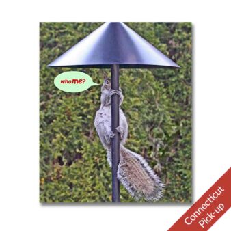 18 inch Wrap-around Pole Mount Squirrel Baffle available at The Audubon Shop, the best shop for bird watchers, Madison CT