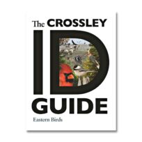 The Crossley ID Guide: Eastern Birds, available at The Audubon Shop, the best bookshop for birders, Madison, CT
