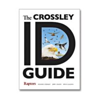 The Crossley ID Guide: Raptors, available at The Audubon Shop, the best bookshop for birders, Madison, CT