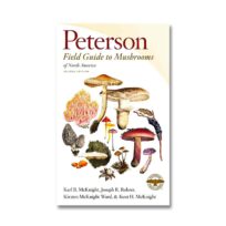 Peterson Field Guide To Mushrooms Of North America Second Edition available at The Audubon Shop, the best shop for nature books, Madison CT