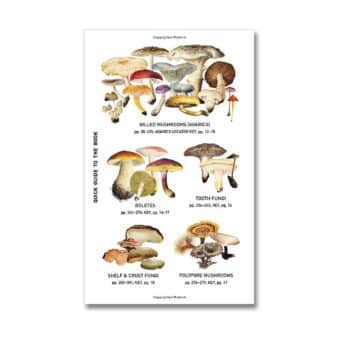 Peterson Field Guide To Mushrooms Of North America Second Edition available at The Audubon Shop, the best shop for nature books, Madison CT