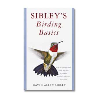 Sibley's Birding Basics, available at The Audubon Shop, the best bookshop for birders, Madison, CT