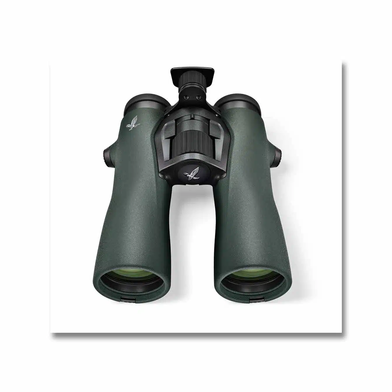 Swarovski NL Pure 12x42 Binoculars