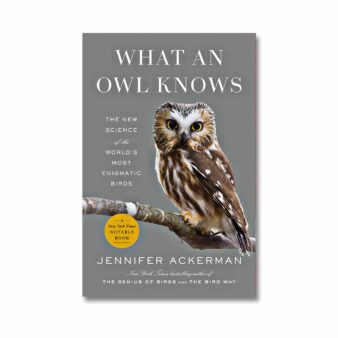 What an Owl Knows, available at The Audubon Shop, the best shop for bird watchers, Madison CT