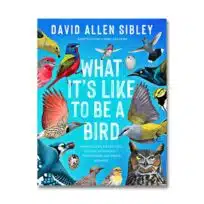 What it's Like to Be a Bird Adapted for Young Readers, available at The Audubon Shop for bird watchers, Madison CT