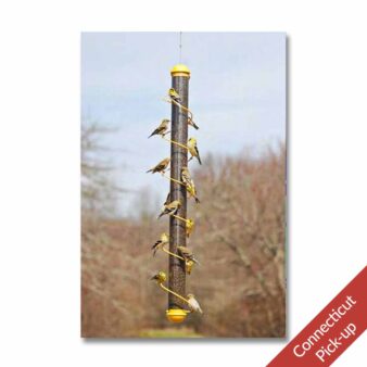 Yellow Spiral Finch Feeder 36 in, available at The Audubon Shop, the best shop for birders, Madison, CT
