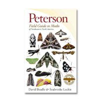 Peterson Field Guide to Moths of NE North America available at The Audubon Shop, the best shop for nature books, Madison CT