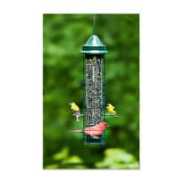 Brome Squirrel Buster Classic Bird Feeder, available at The Audubon Shop, the best shop for bird feeders, Madison CT