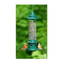 Brome Squirrel Buster Plus Bird Feeder, available at The Audubon Shop, the best shop for bird feeders, Madison CT