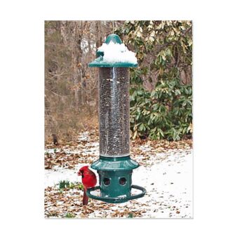 Brome Squirrel Buster Plus Bird Feeder, available at The Audubon Shop, the best shop for bird feeders, Madison CT