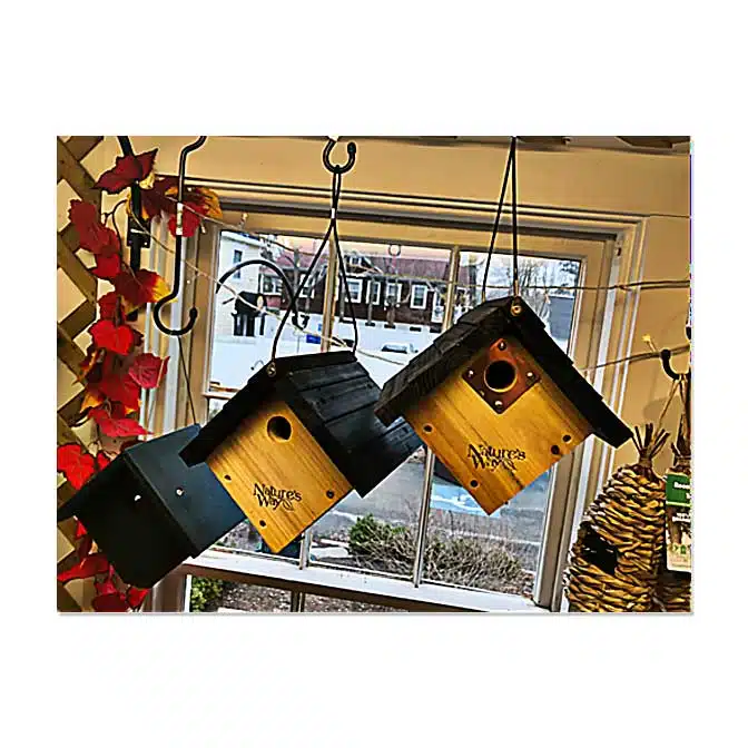 Cedar Hanging Wren House, available at The Audubon Shop, the best shop for bird houses, Madison CT