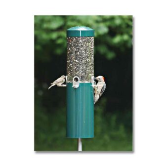 Classic Pole Mount Bird Feeder, available at The Audubon Shop, the best shop for birdwatchers, Madison, CT.