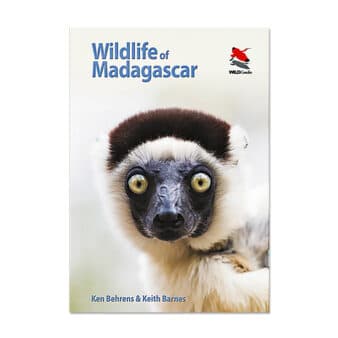 Wildlife of Madagascar field guide, Behrens and Barnes