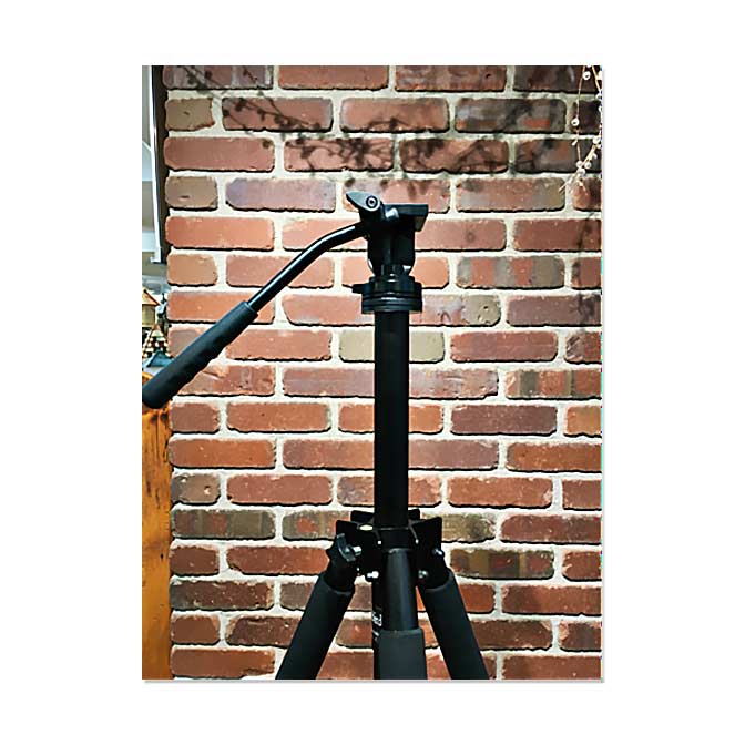 The Birder Tripod Kit 2 with Audubon Shop 6750 Head