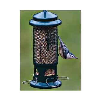 Brome Squirrel Buster Standard Bird Feeder, available at The Audubon Shop, the best shop for birdwatchers, Madison, CT