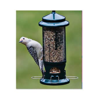 Brome Squirrel Buster Standard Bird Feeder, available at The Audubon Shop, the best shop for birdwatchers, Madison, CT