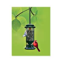 Brome Squirrel Buster Standard Bird Feeder, available at The Audubon Shop, the best shop for birdwatchers, Madison, CT