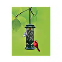 Brome Squirrel Buster Standard Bird Feeder, available at The Audubon Shop, the best shop for birdwatchers, Madison, CT