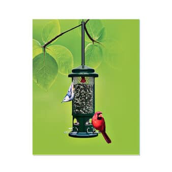 Brome Squirrel Buster Standard Bird Feeder, available at The Audubon Shop, the best shop for birdwatchers, Madison, CT