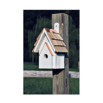 Classic Cypress Nesting Box - White color, available at The Audubon Shop, the best shop for bird watchers, Madison CT