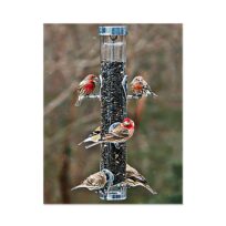 Droll Yankee Classic Sunflower Feeder with Ring Pull Advantage available at The Audubon Shop, the best shop for bird feeders, Madison CT