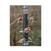 Droll Yankee Classic Sunflower Feeder with Ring Pull Advantage available at The Audubon Shop, the best shop for bird feeders, Madison CT