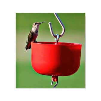 available at The Audubon Shop, the best shop for Hummingbird bird feeders, Madison CT