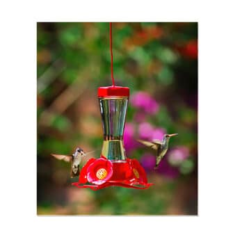 Perky Pet Pinch-Waist Hummingbird Feeder, available at The Audubon Shop, the best shop for birdwatchers, Madison CT.