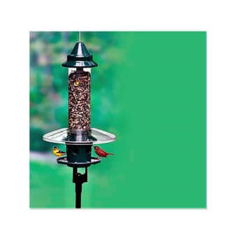 Pole Mount Kit for Brome Squirrel Buster Plus Bird Feeder, available at The Audubon Shop, the best shop for birders, Madison, CT