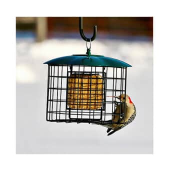 Squirrel Defeater Double-Suet Cage Feeder, available at The Audubon Shop, the best shop for people who love birds, Madison CT