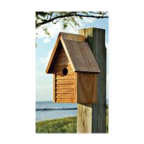 Starter Home Mahogany Bird House, available at The Audubon Shop, the best shop for bird houses, Madison CT