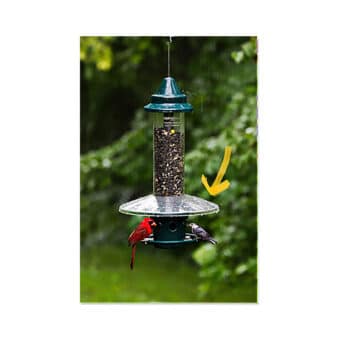 Weather Guard for Brome Squirrel Buster Plus available at The Audubon Shop, the best shop for bird feeders, Madison CT