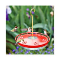 HummZinger HighView Excel 16 oz Hummingbird Feeder, available at The Audubon Shop, the best shop for Hummingbird feeders, Madison CT