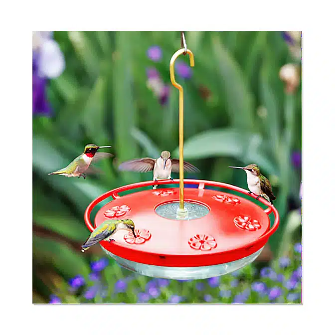 HummZinger HighView Excel 16 oz Hummingbird Feeder, available at The Audubon Shop, the best shop for Hummingbird feeders, Madison CT