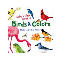 Baby's First Book of Birds and Colors, available at The Audubon Shop, the best shop for people who love birds, Madison CT
