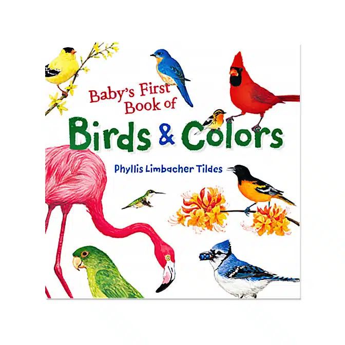 Baby's First Book of Birds and Colors, available at The Audubon Shop, the best shop for people who love birds, Madison CT