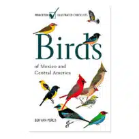 Birds of Mexico and Central America, available at The Audubon Shop, the best shop for bird and nature books, Madison CT