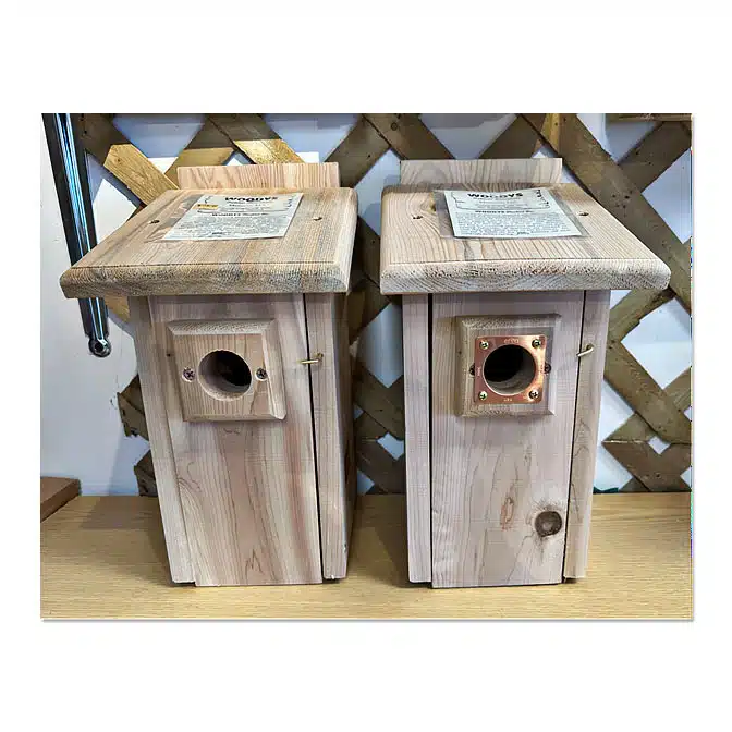 Cedar Bluebird Nesting Box, available at The Audubon Shop, the best shop for bird houses, Madison CT