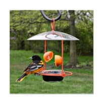 Wire Oriole Feeder, available at The Audubon Shop, the best shop for bird feeders, Madison CT