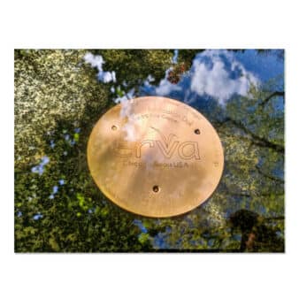 Copper Bird Bath Purification Disk, available at The Audubon Shop, the best shop for bird watchers, Madison CT