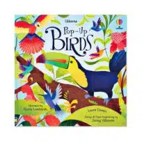 Pop Up Birds, available at The Audubon Shop, the best shop for bird and nature books, Madison CT