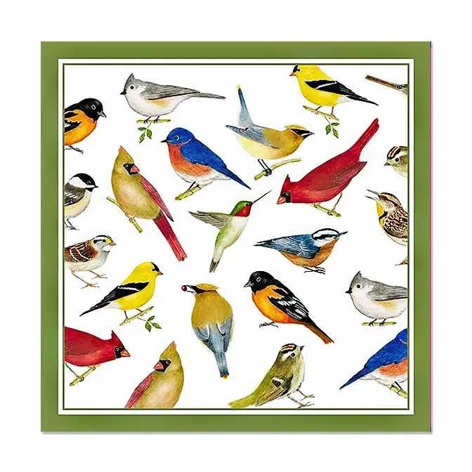Birds Flour Sack Cotton Tea Towels, available at The Audubon Shop, the best shop for bird watchers, Madison CT